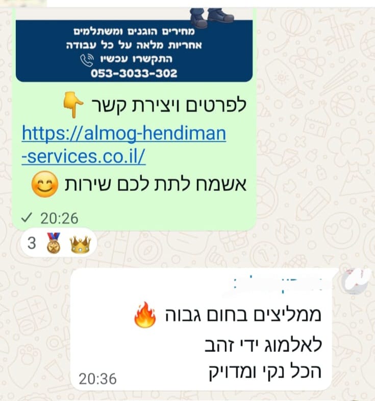 ביקורת 2