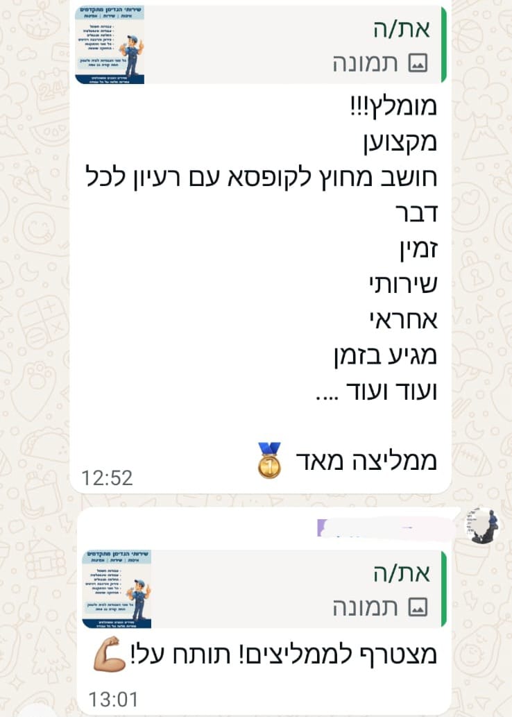 ביקורת 3