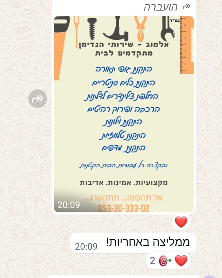 ביקורת 4